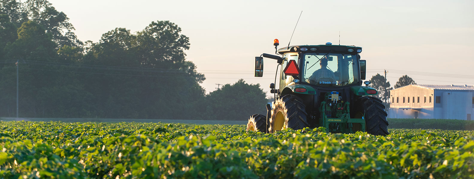 Agricultural Science