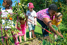 students working in garden