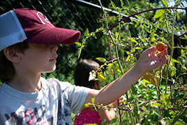 student working in garden